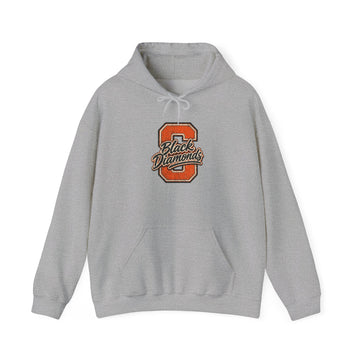 Sallisaw Black Diamonds Varsity Hoodie — Retro Letterman Logo Pullover